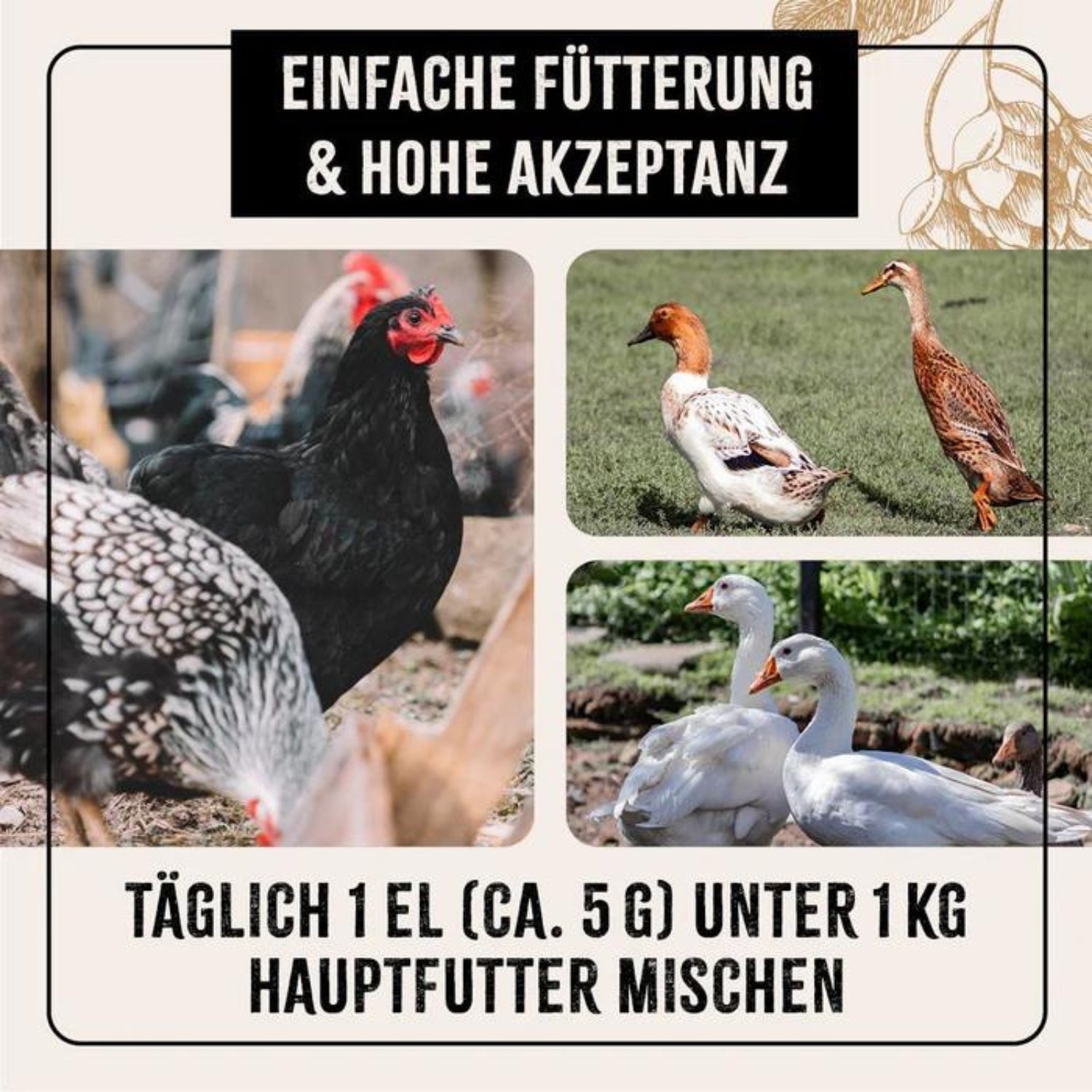 AniForte FarmLife Geflügel Bierhefe Spezial-Mix 1000g