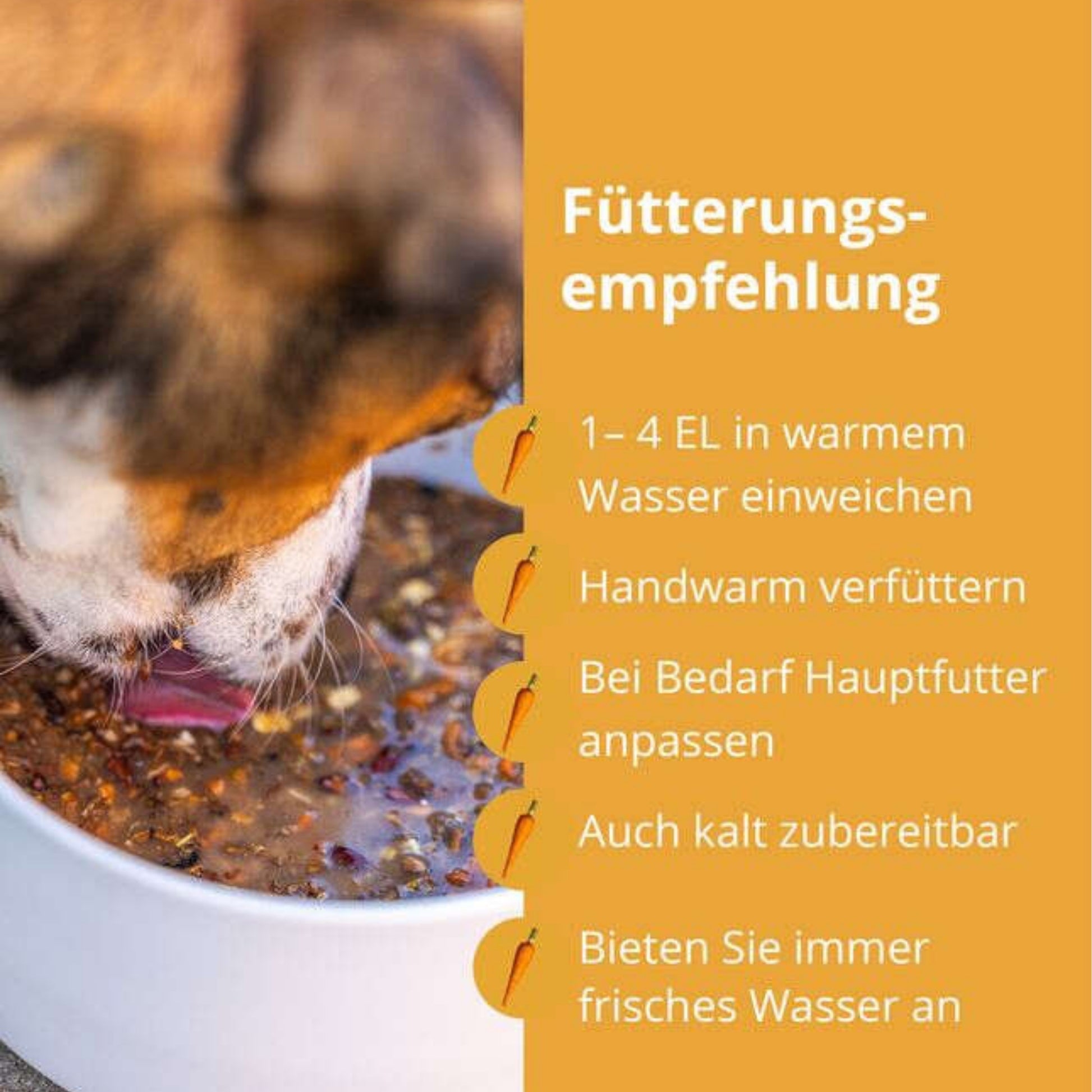 Höveler DOG Mash für Hunde 700g