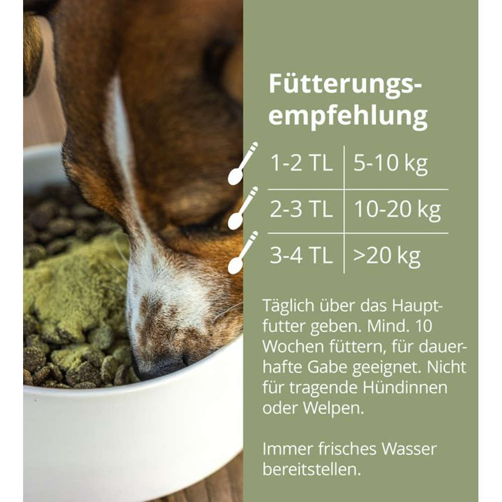 Höveler DOG Darm Plus für Hunde 150g