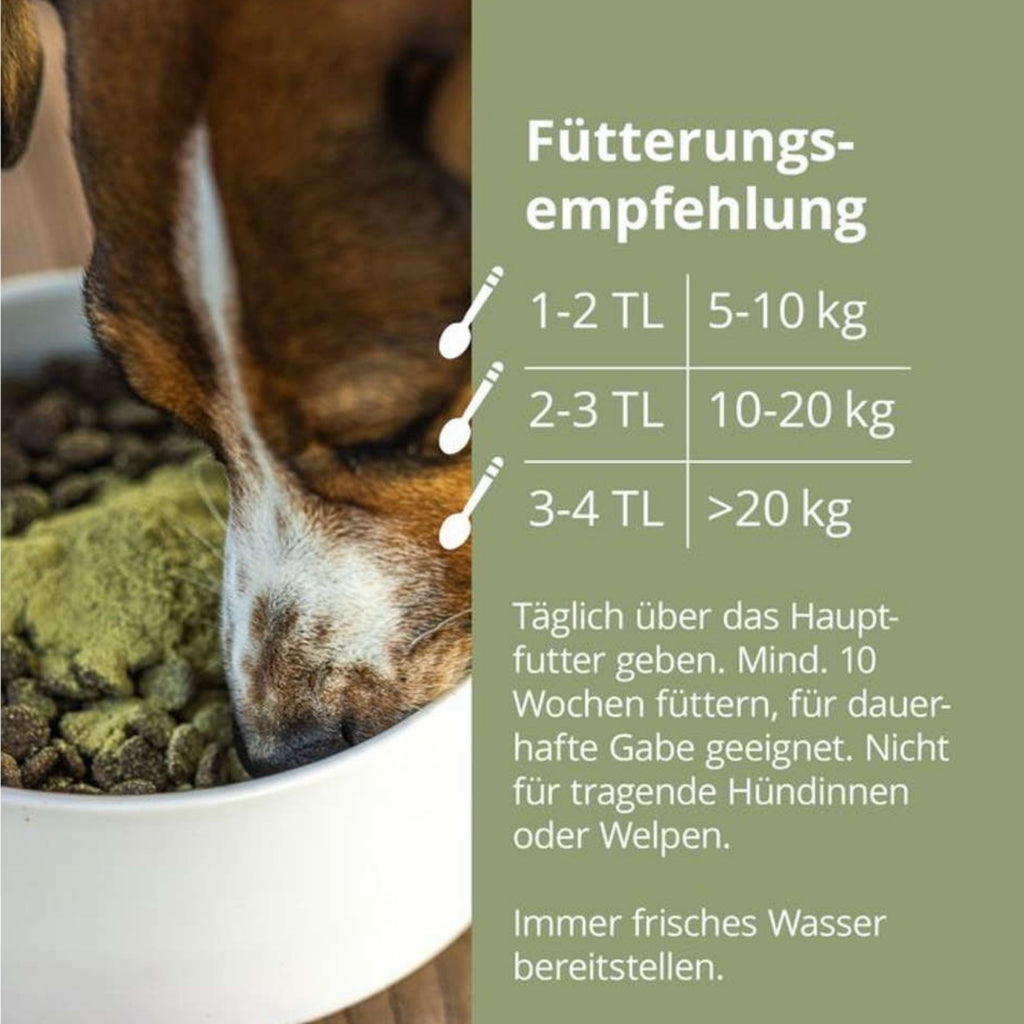 Höveler DOG Darm Plus für Hunde 150g