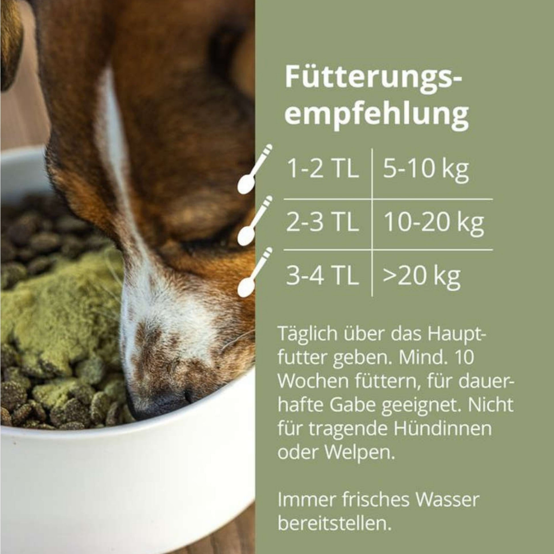 Höveler DOG Darm Plus für Hunde 150g