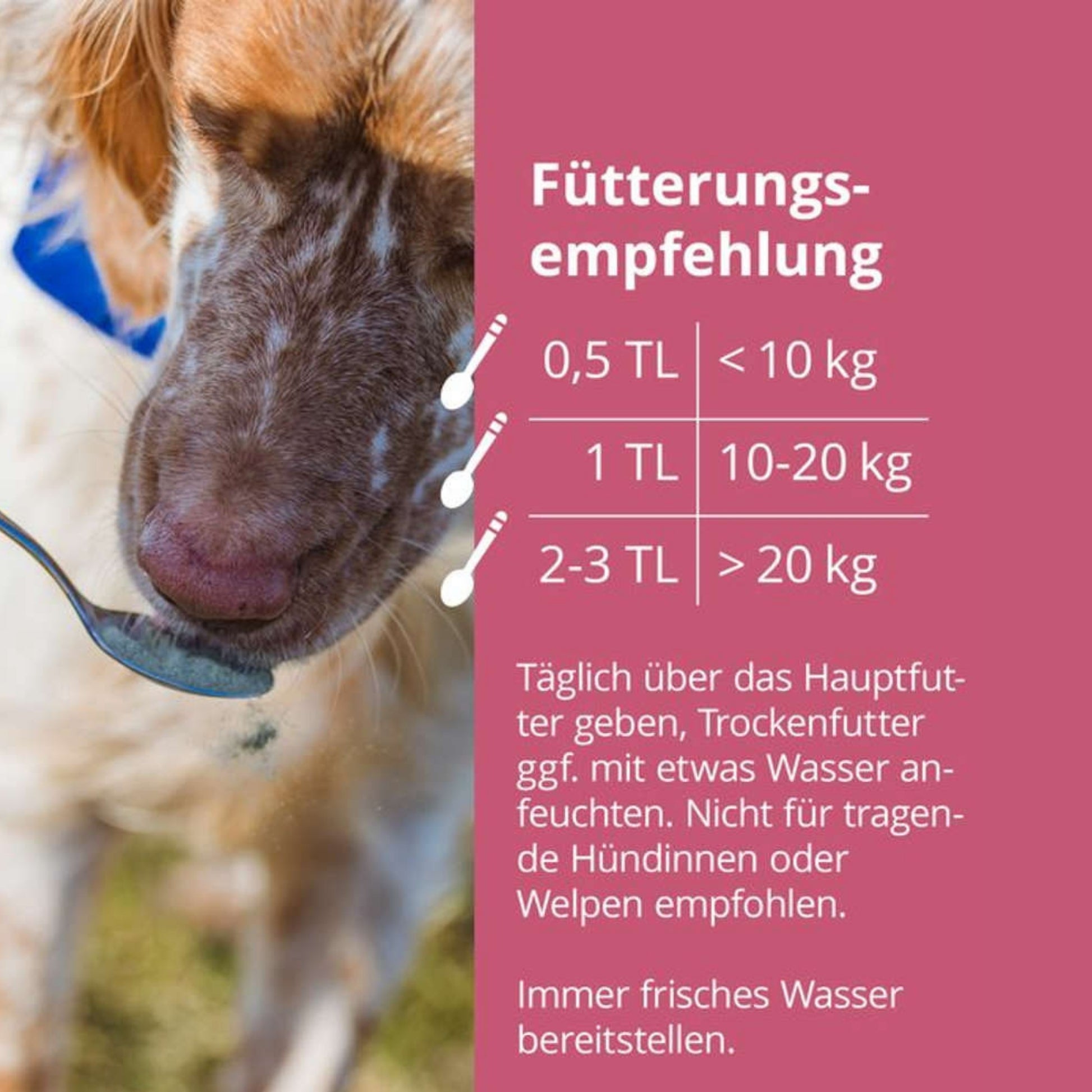 Höveler DOG Kollagen für Hunde Plus 150g
