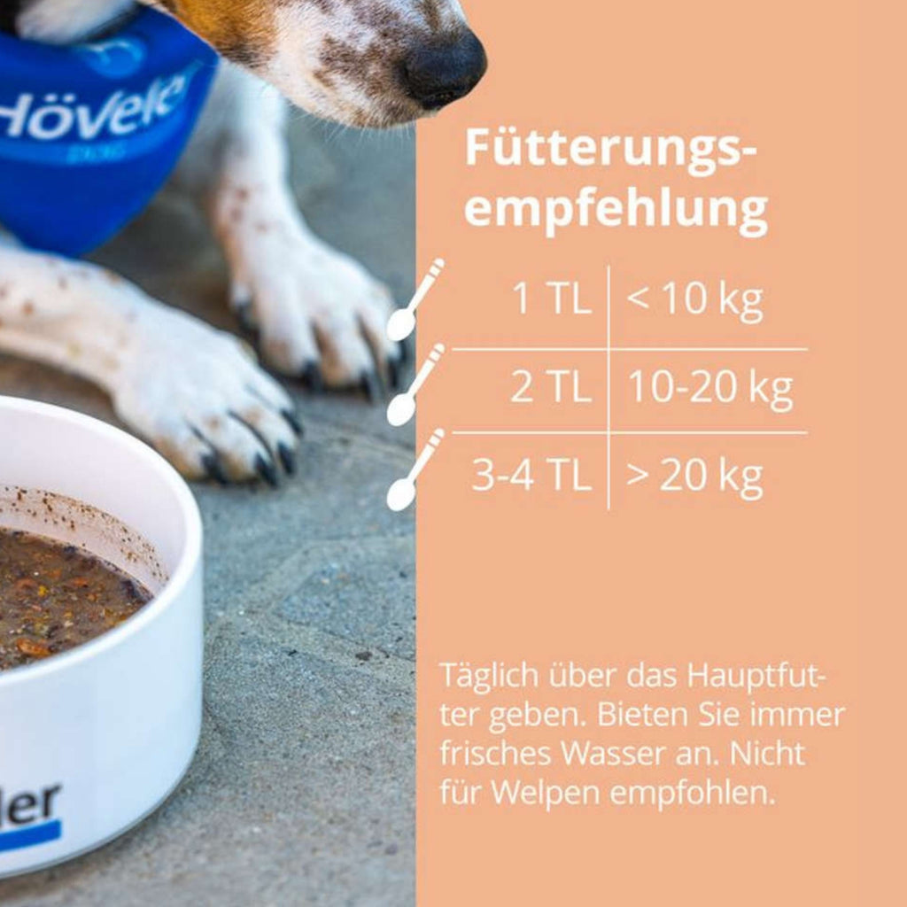 Höveler DOG Lachsöl Plus für Hunde 250ml