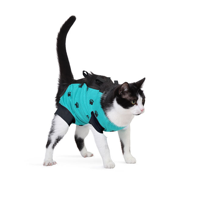 Bauchverband für Hunde und Katzen  Apfelgrün XS 22cm