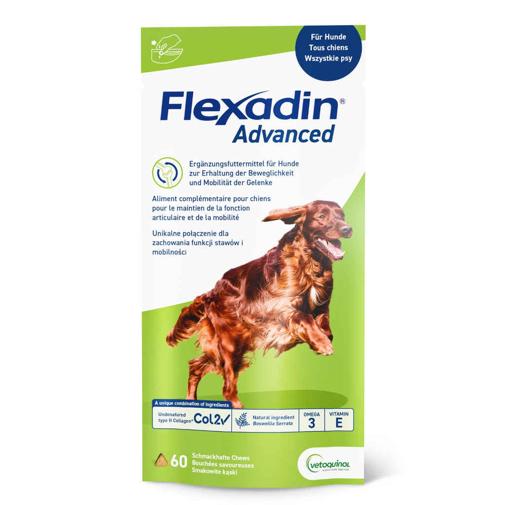 Flexadin advanced für Hunde 60 chews