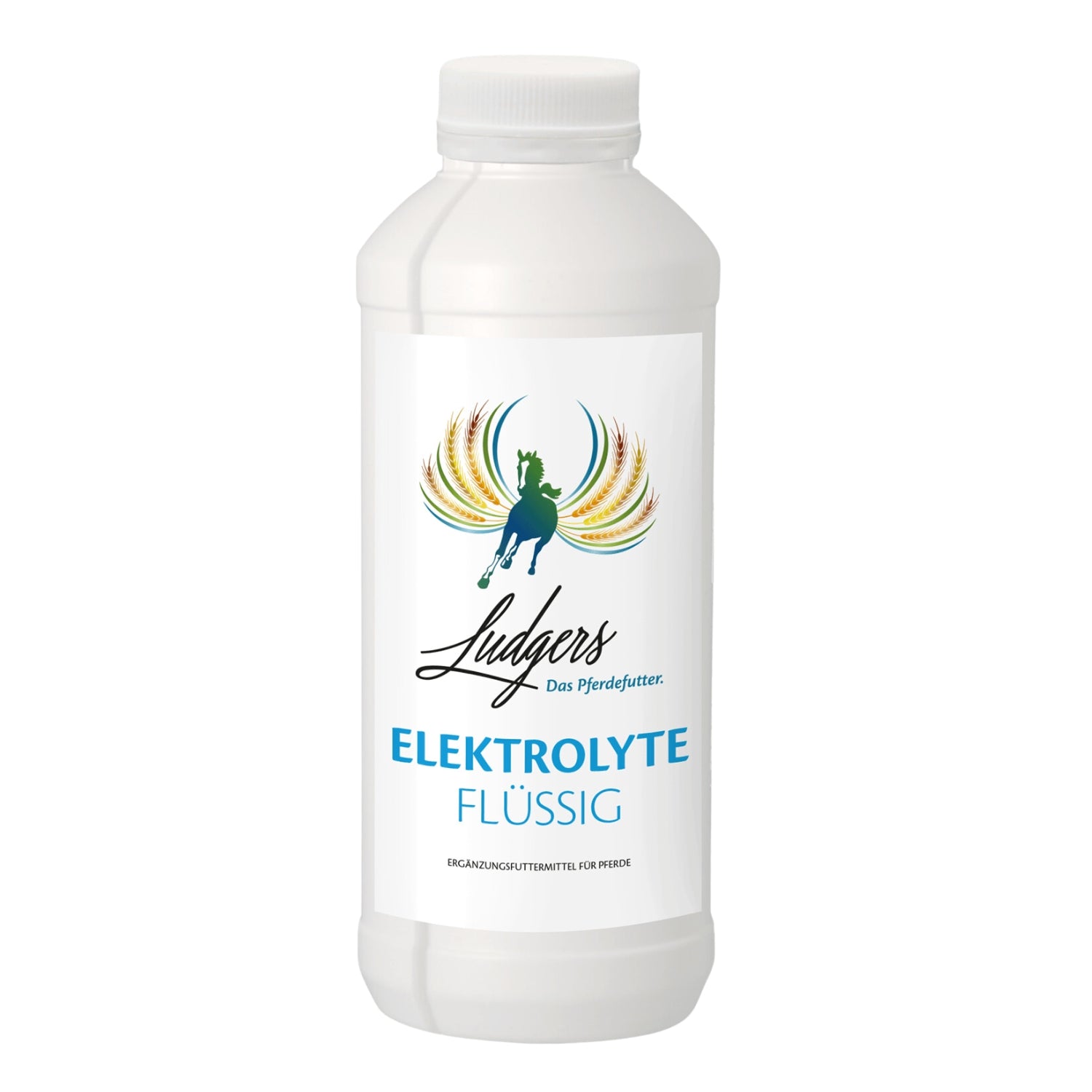 Ludgers Elektrolyte flüssig 1 Liter