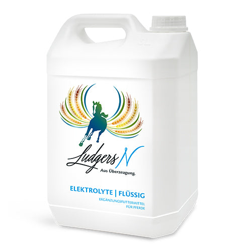 Ludgers Elektrolyte flüssig 5 Liter