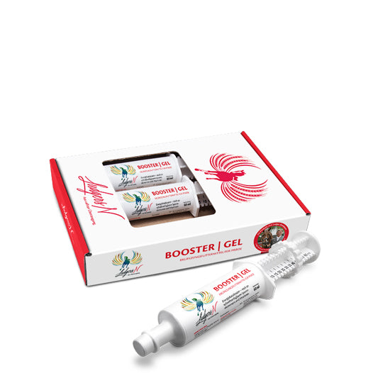 Ludgers Booster Gel 3er Pack
