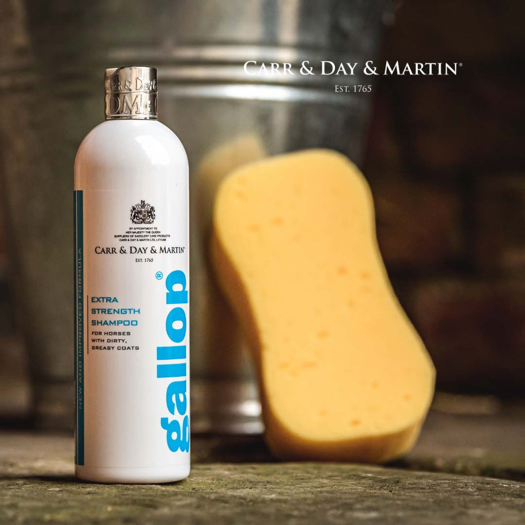 Carr & Day & Martin Gallop Extra Starkes Shampoo 500 ml