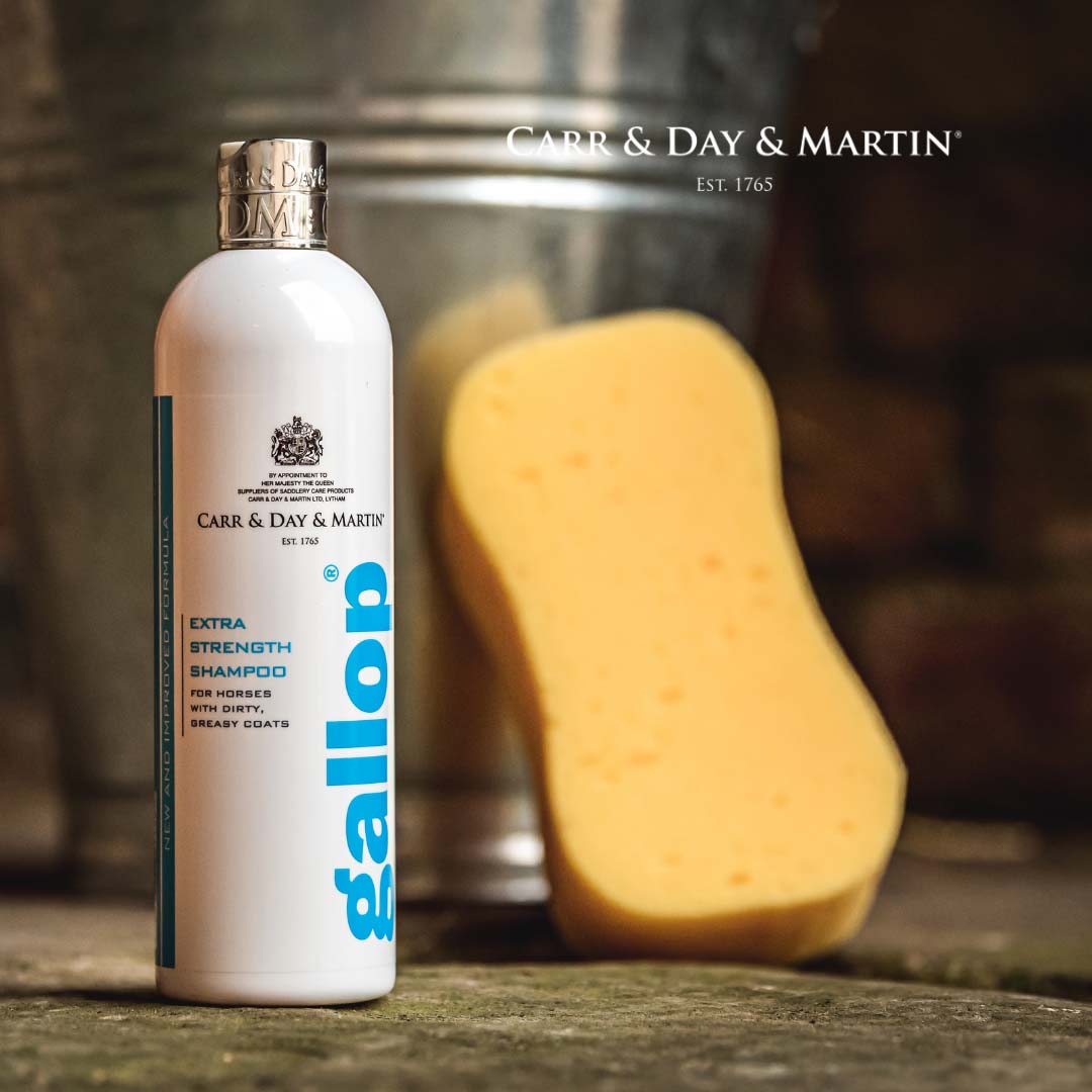 Carr & Day & Martin Gallop Extra Starkes Shampoo 500 ml
