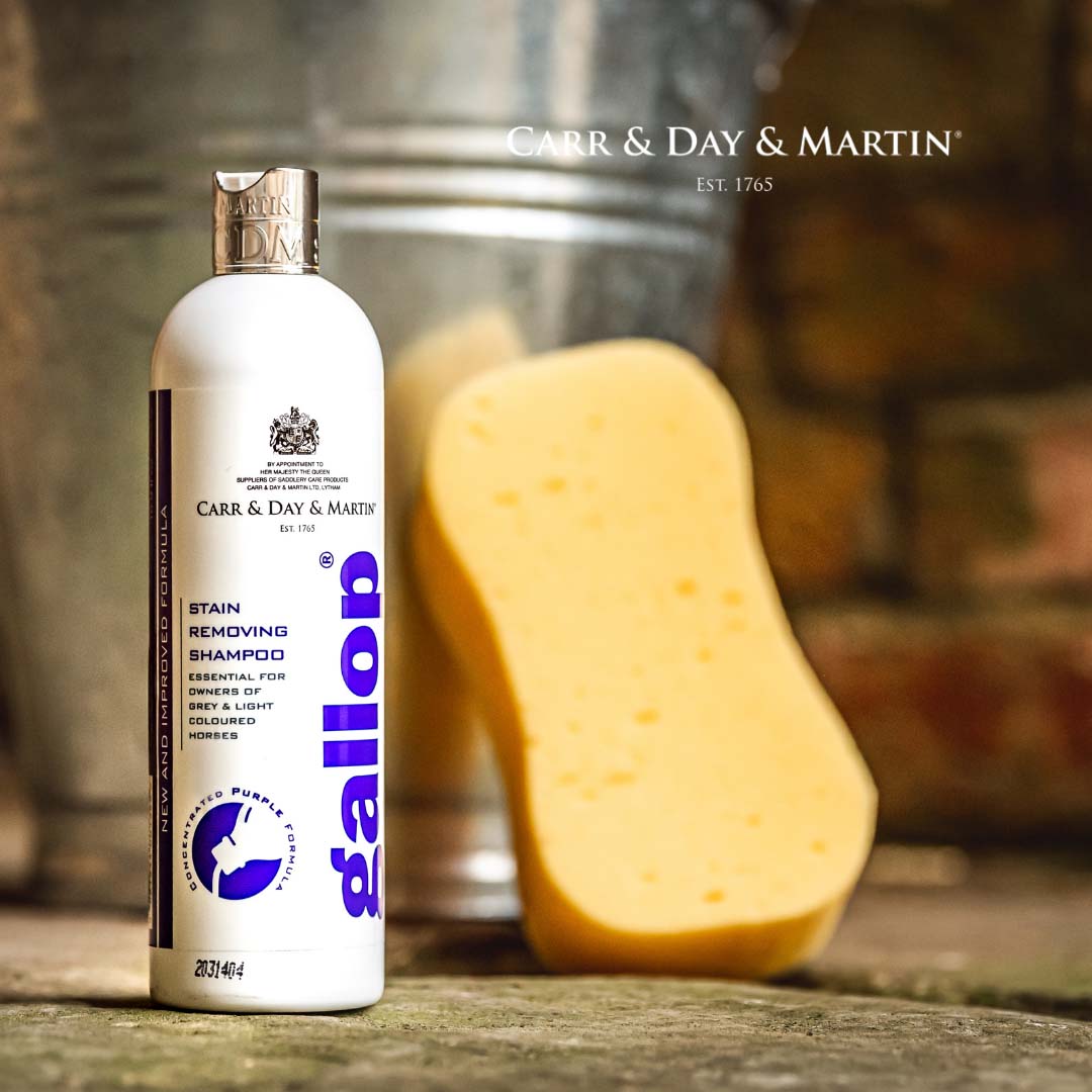 CDM Gallop Fleck-Entfernungs Shampoo 500 ml