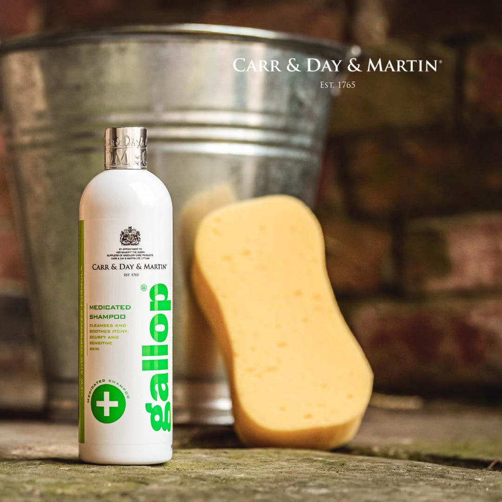 CDM Gallop Medizinisches Shampoo 500 ml