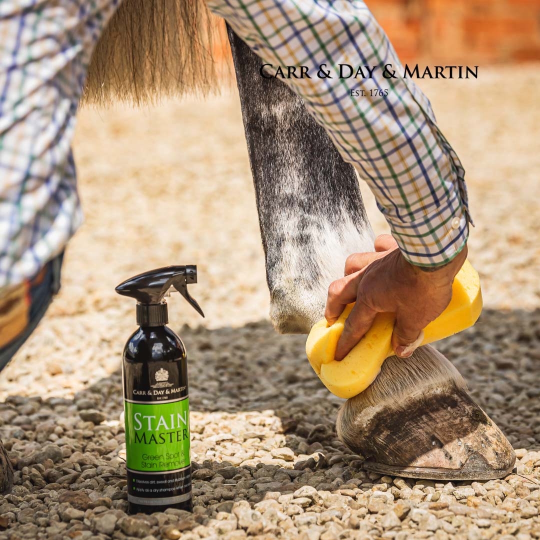 Carr & Day & Martin Stainmaster 500 ml