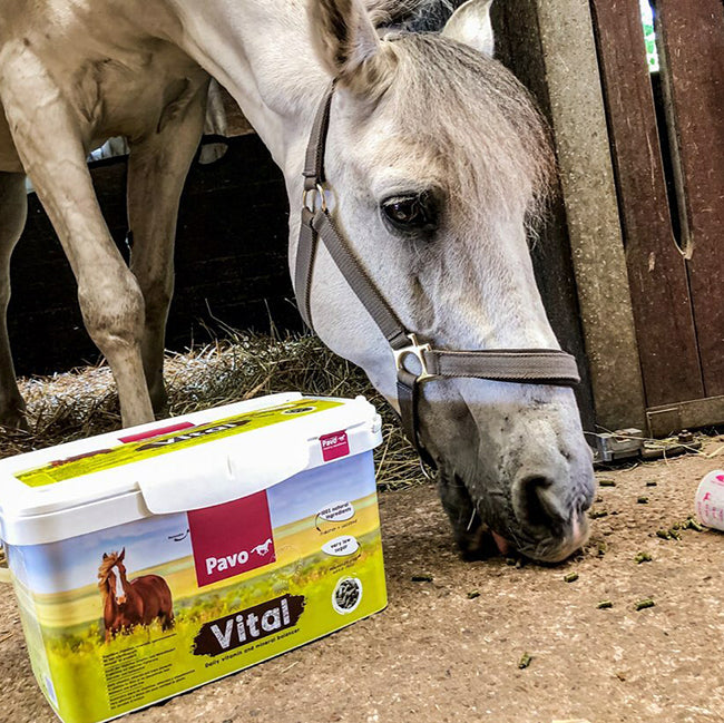 Pavo Vital, 8kg Eimer